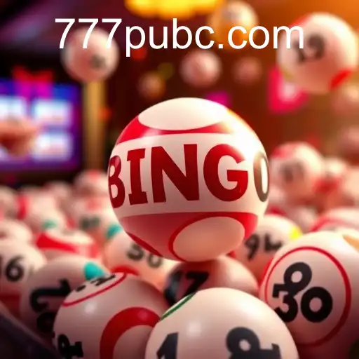 Exploring the Exciting World of Bingo on 777Pub